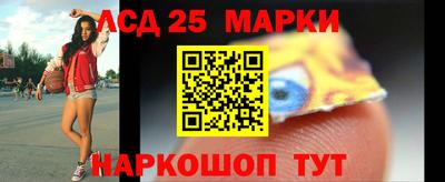 прущие грибы Будённовск