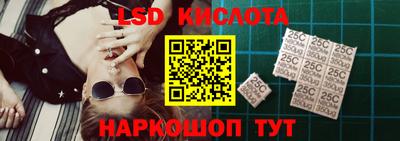 прущие грибы Будённовск