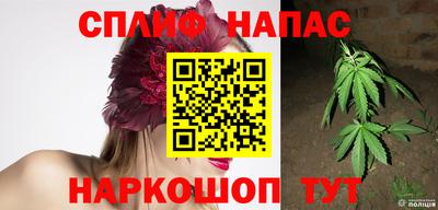 прущие грибы Будённовск