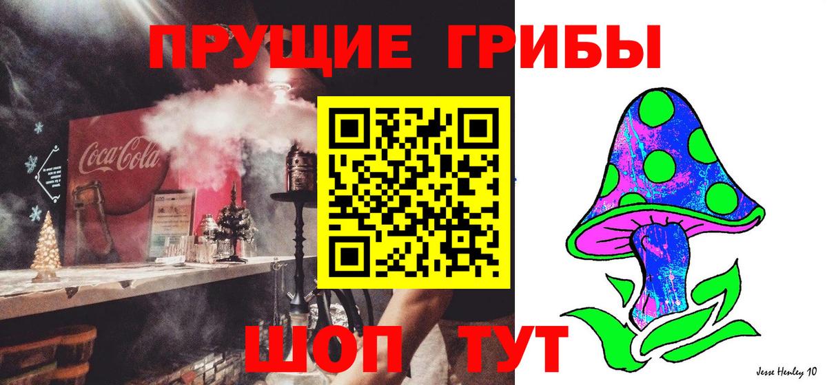 Псилоцибиновые грибы мицелий Партизанск